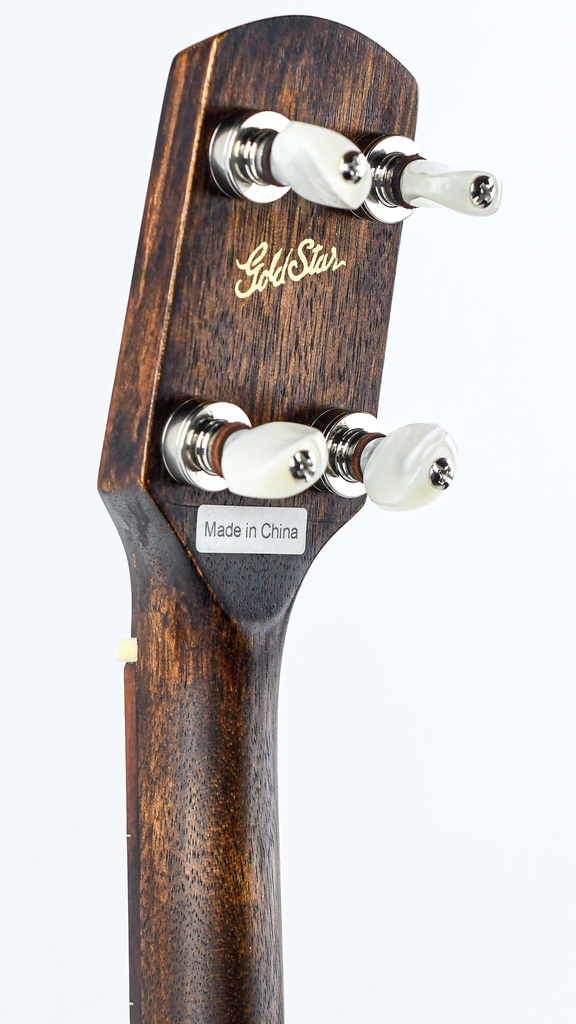 Gold Star GE1 Openback 5-String Banjo | The Fellowship of